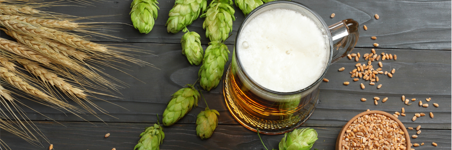 draft_hop_life Hop Life Brewery Draft Beer